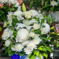 Kirribilli Florist Ideas for Elegant and Thoughtful Gifts